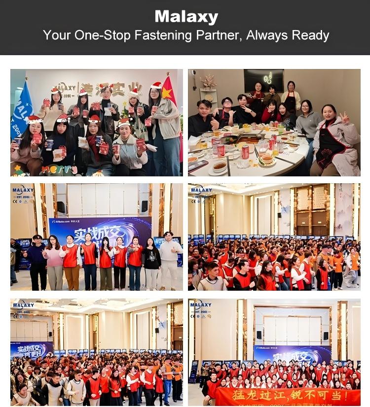 MALAXY - China's Premium Fastener Supplier Malaxy team
