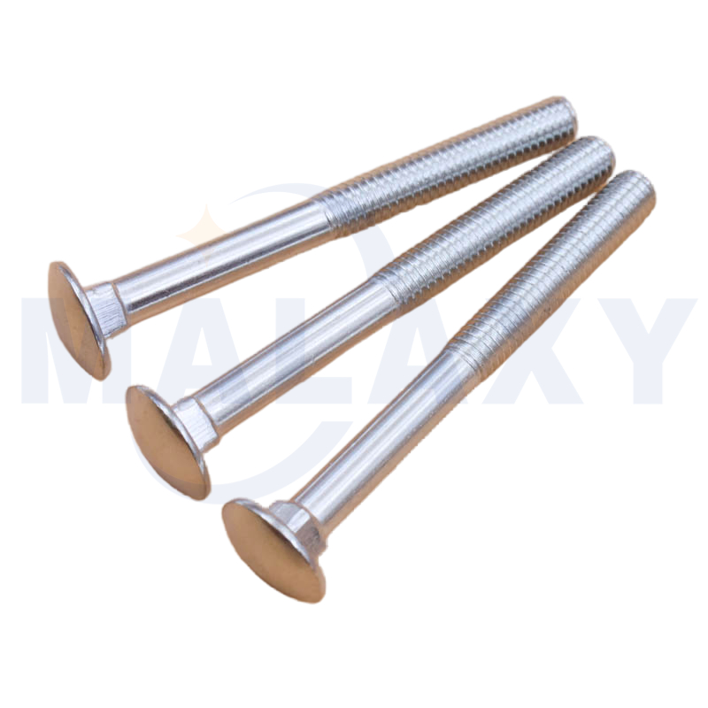 Carriage Bolts(Cup Head Square Neck Bolts)