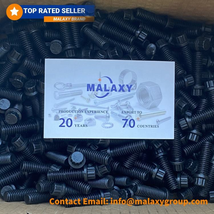12 Point Bolt