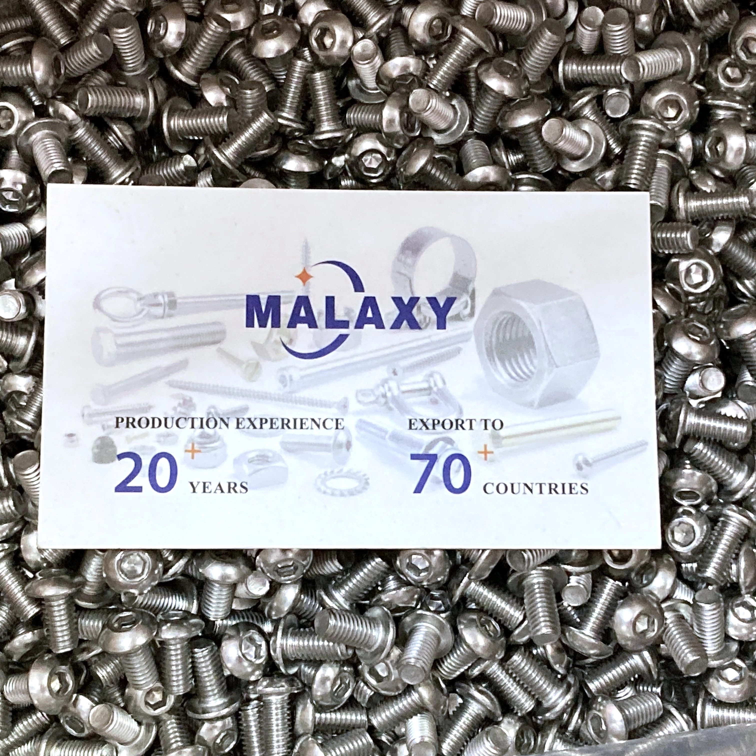 2026 Fastener Industry Trends: Stainless Steel Screws, Lock Nuts and High-Performance Fasteners
