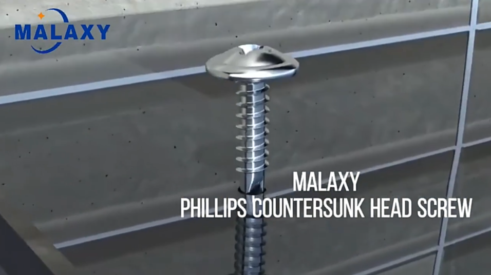 Phillips Truss Head Screw-Malaxy Industry.mp4