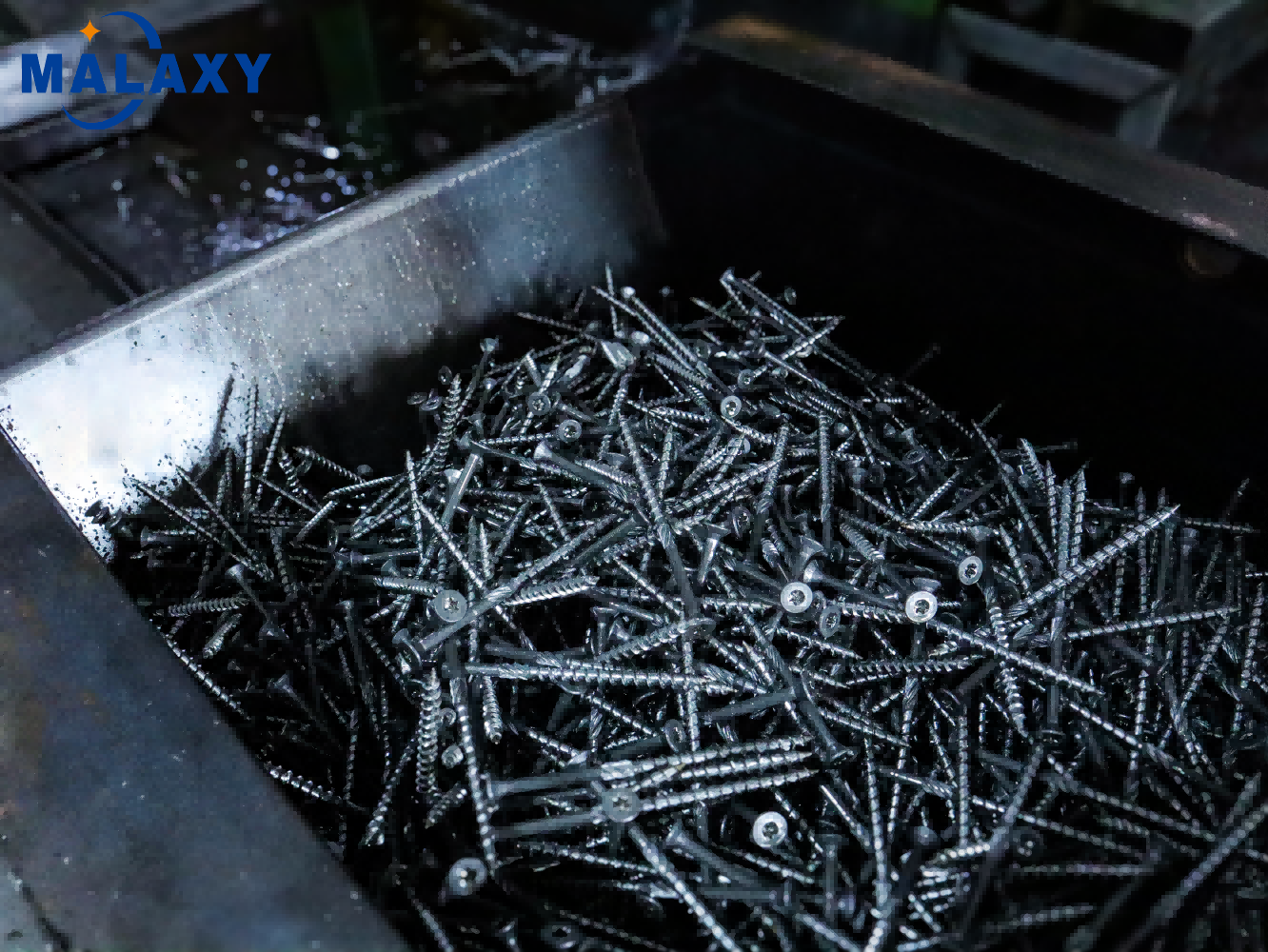 Malaxy Factory-Screw（3）.png