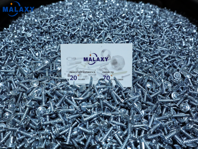 Malaxy Factory-Screw（1）.png