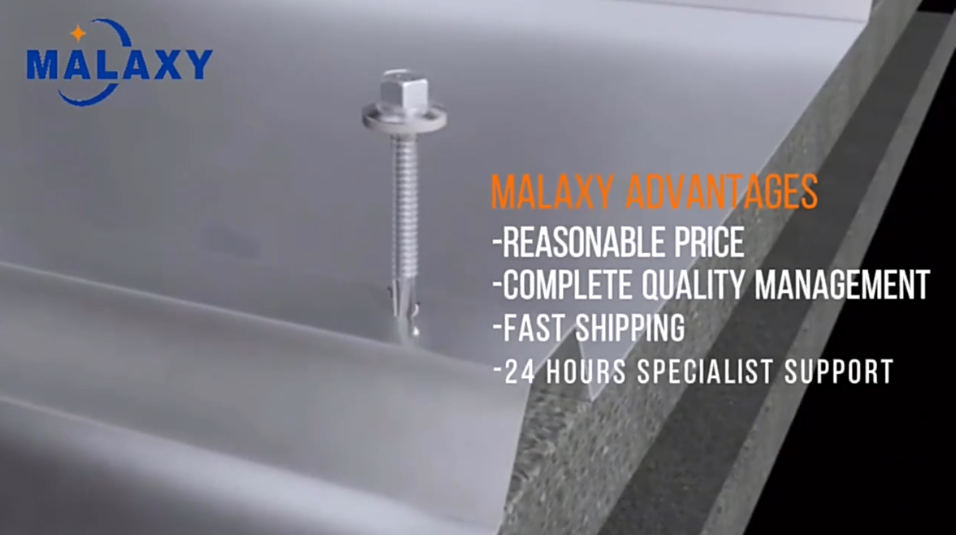 Hex Self-drilling Screws-Malaxy Industry.mp4