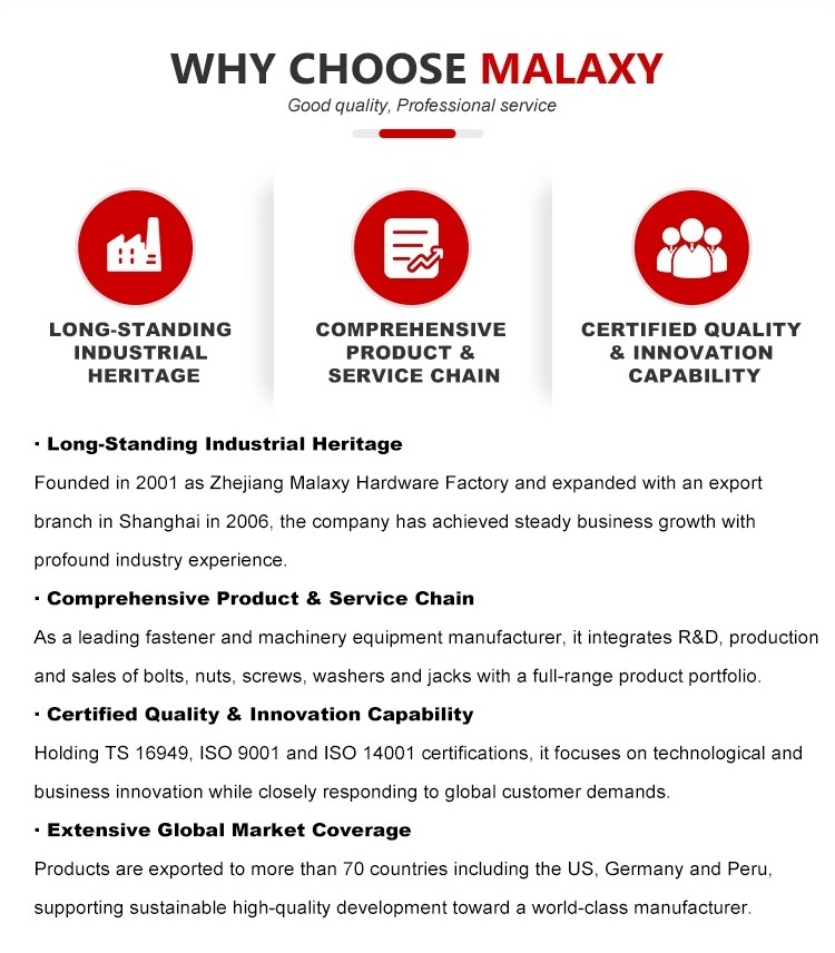 9.Why Choose Malaxy.jpg